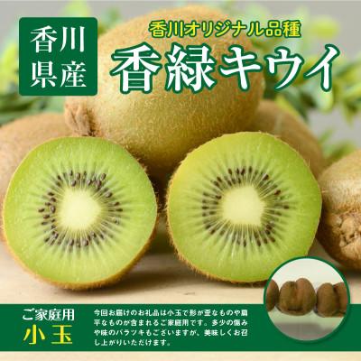 ふるさと納税 高松市 【先行受付2025年】ご家庭用香緑キウイ(小玉)　約3kg |  | 01