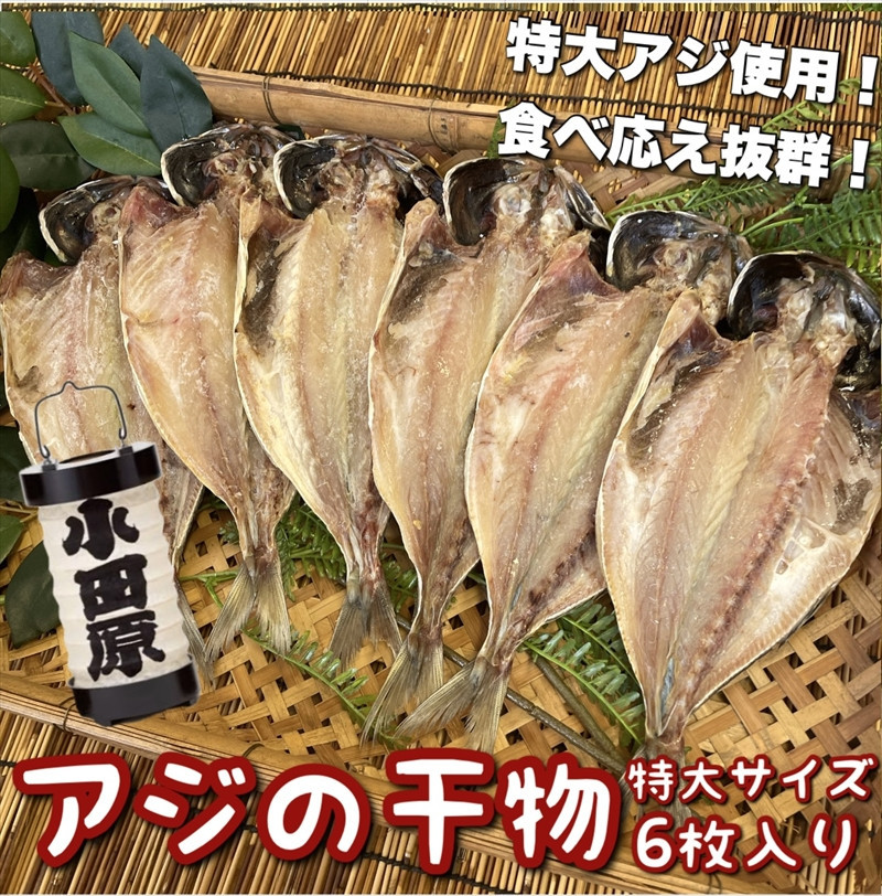 鯵の干物 特大サイズ 6枚セット 142069_DQ128