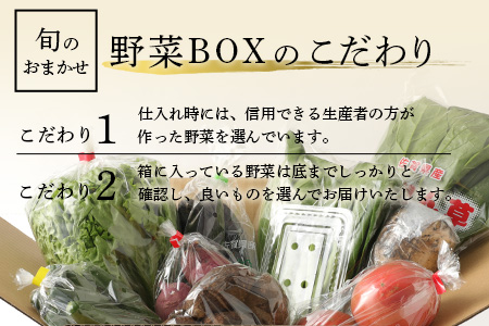  【３ヶ月定期便】旬のおまかせ 野菜BOX 野菜定期便 旬の野菜 詰め合わせ 野菜 新鮮 野菜8～10品目 C-47
