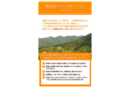 観音山レモン 4kg(30玉-40玉前後) 有限会社柑香園《2024年10月中旬-2025年3月末頃出荷》和歌山県 紀の川市 フルーツ 果物 柑橘 檸檬 レモン