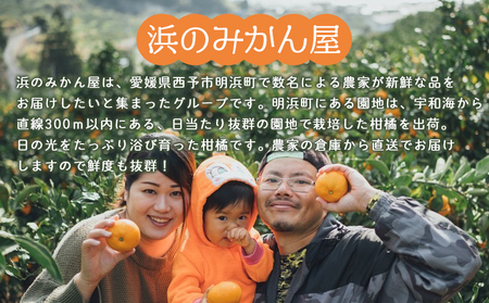 ＜訳あり 温州みかん 約3kg＞ 小玉 中玉 明浜産 果物 フルーツ 蜜柑 うんしゅうみかん ウンシュウミカン 柑橘 家庭用 浜のみかん屋 直送 愛媛県 西予市【常温】『2025年11月上旬～2026