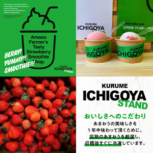【ICHIGOYA】福岡県産 完熟あまおう ジェラート(アイス) 3種×2個(計6個) レアチーズ！ミルク！ヨーグルト！_ICHIGOYA 福岡県産 完熟 あまおう ジェラート アイス 3種 × 2個