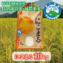 【ふるさと納税】令和6年度産・新米 福井県越前市産にこまる　福井県特別栽培米 10kg/ 送料無料 福井県 越前市 米 ニコマル 減農薬 2024年度産 新生活(18209)