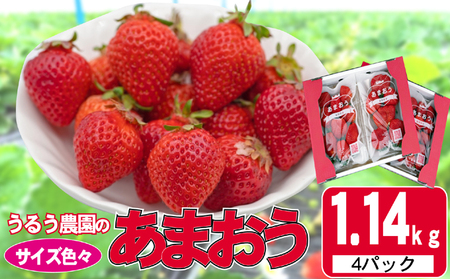 あまおう うるう農園 サイズ色々 特別栽培 福岡県産 あまおう【4パック 約1.14kg】【先行予約】