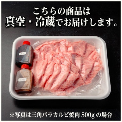 飛騨牛　三角バラカルビ焼肉　500g　タレ付き　BBQ用【配送不可地域：離島】【1745665】