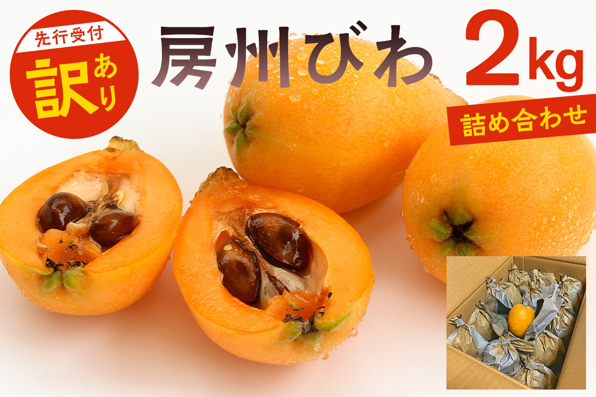 
                  【先行受付 2026年5月下旬～6月下旬発送予定】〈訳あり〉房州びわ(露地栽培) 2kg　詰め合わせ mi0038-0001【びわ フルーツ 旬 季節 果物 瑞々しい お取り寄せ グルメ】
                