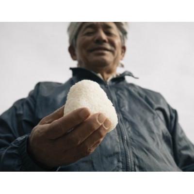 ふるさと納税 南伊勢町 【発送月固定定期便】【2026年先行受付】こしひかり 10kg  鶴のおかげ米 ブランド認定米全3回 |  | 02