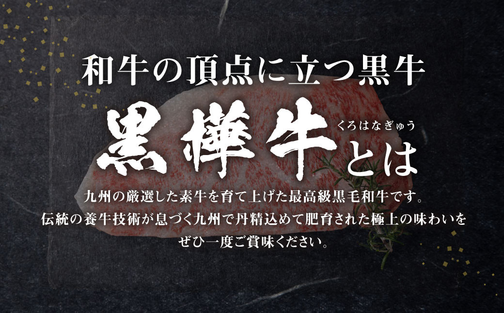 くまもと黒毛和牛 杉本本店 黒樺牛 A4~A5等級 肉厚サーロインステーキ 約300g