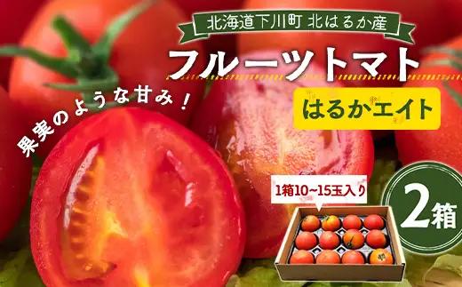 【先行予約】令和8年産 フルーツトマト はるかエイト 2箱 トマト F4G-0348