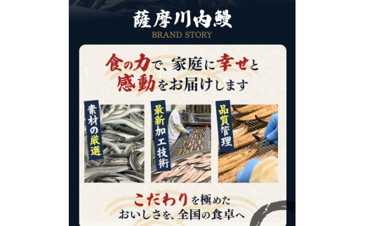 ＜隔月定期便・全3回＞鹿児島県産うなぎ蒲焼 (約186g×3尾×3回) 鰻 ウナギ うなぎ【薩摩川内鰻】 T91