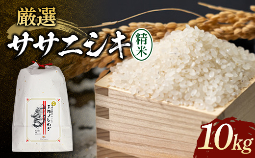 【令和8年産米先行予約】 厳選ササニシキ 5kg×2袋 米 お米 おこめ 山形県 新庄市 F3S-2883