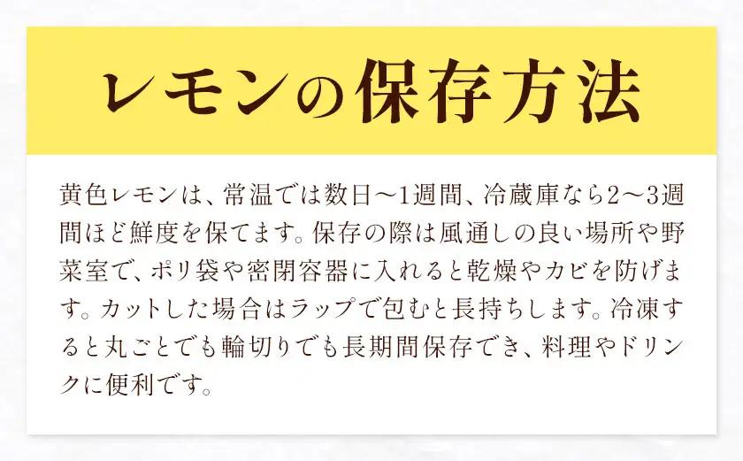 レモン 訳あり 3kg 株式会社農業福祉研究機構