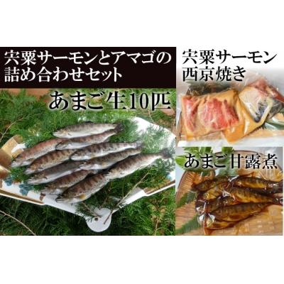ふるさと納税 宍粟市 宍粟サーモンとあまごの詰め合わせセット AU3