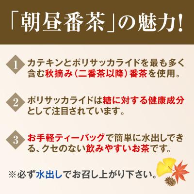 ふるさと納税 宇治田原町 宇治・水出し朝昼番茶ティーバッグ　10g×20個入×6袋　クールサーバー付 |  | 01