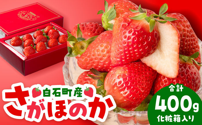 
【先行予約】【農家直送】（化粧箱入り）白石産いちご「さがほのか」400g【岸川農園】 [IAP003]
