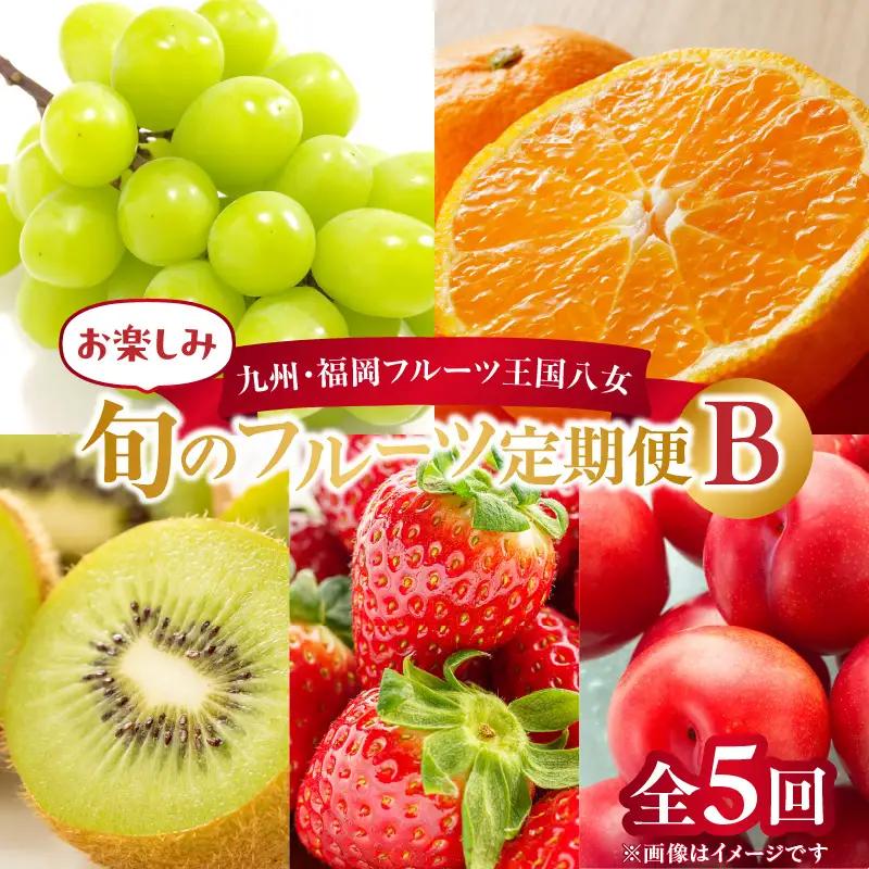 九州・福岡フルーツ王国八女 お楽しみ旬のフルーツ定期便【全5回】B＜配送不可：北海道・沖縄・離島＞ フルーツ 定期便  072-T010