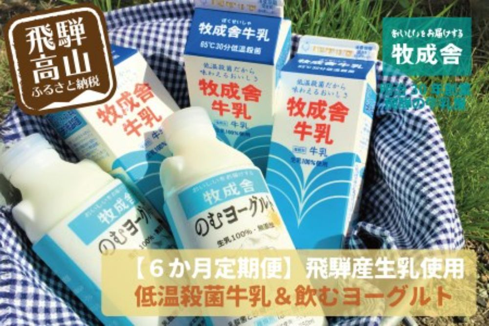 【 6ヶ月 定期便 】飛騨の牛乳屋こだわり （牛乳 3本 飲むヨーグルト 2本 セット）×6回 低温殺菌 6回 無添加 牧成舎 飛騨高山 DF103