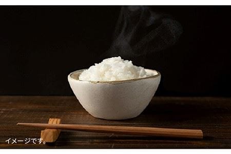 糸島 で 農薬 を使わずに育てた 山つき 糸島米 5kg （ コシヒカリ ）《 糸島 》【株式会社やました】 [ARJ015]