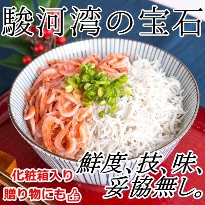 ふるさと納税 吉田町 【明治神宮・奉献品】駿河湾の恵み『極上釜あげしらす・桜えびセット L』【丸三水産】