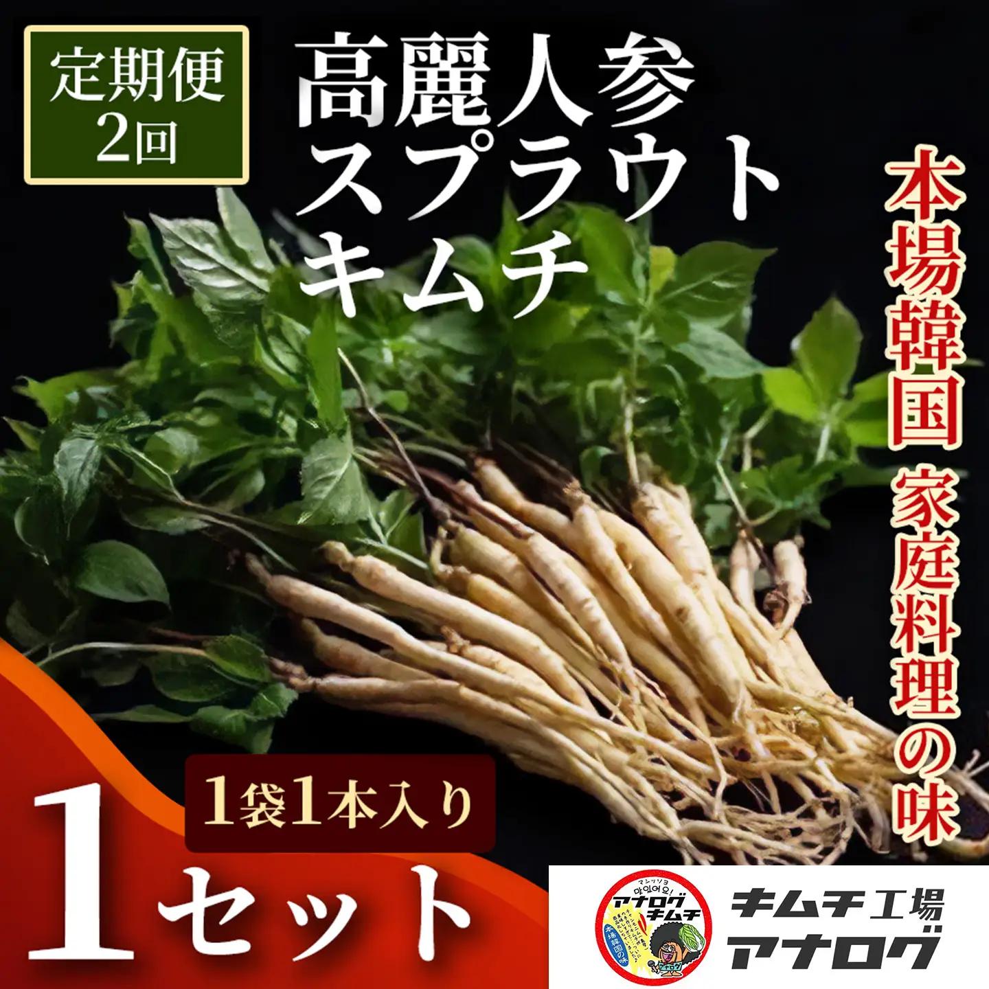 【2カ月定期便】熟成秘伝の高麗人参スプラウトキムチ(1本入り×1袋)(H104183)