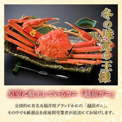 ふるさと納税 小浜市 【先行予約】(産地直送)　越前ガニ ボイル 3杯|若狭小浜港・国産ズワイガニ【加福鮮魚】 |  | 01