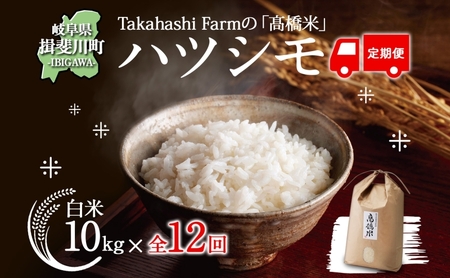 定期便 全12回 米 令和7年 ハツシモ  高橋米 10kg 1袋  お米 精米 白米 ごはん ご飯 はつしも あっさり ふっくら ブランド米 10キロ お取り寄せ 産地直送 送料無料 高橋ファーム Takahashi Farm 岐阜県 揖斐川町