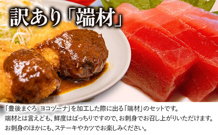 本まぐろヨコヅーナ 訳あり 本まぐろ 端材 1kg
