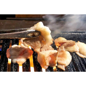 近江牛 ひとくちカット 小腸500g 近江牛ホルモン