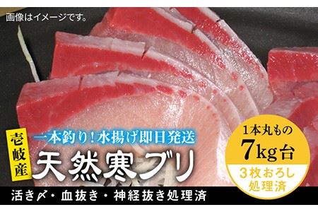 壱岐島産天然寒ブリ（7キロ台・3枚おろし） 《壱岐市》【壱岐島　玄海屋】[JBS012]  魚 刺身 しゃぶしゃぶ 77000 77000円