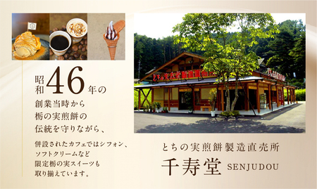 下呂ショコラ煎餅 ビター 28枚 とちの実煎餅30枚（ギフト缶入）個包装 せんべい 和菓子 お菓子 チョコ 贈答 ギフト 栃の実 とちのみ【6-13】