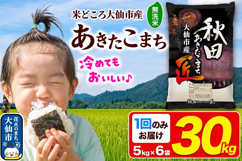 
                  米 あきたこまち【無洗米】30kg（5kg×6袋）秋田県大仙市産 精米 令和7年産 [通算18回 特A 秋田県産 あきたこまち アキタコマチ 秋田こまち 秋田小町 コメ kome 米どころ 5 キロ 小分け ご飯 ごはん 無洗米 サンファーム西木 大仙市]
                