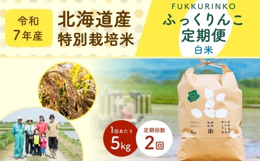 【2ヶ月定期便】北海道産 特別栽培米ふっくりんこ（白米） 5kg×2回 合計10kg お米 米 こめ コメ 白米 ご飯 ごはん ふっくりんこ【2025年11月下旬～2026年9月下旬発送予定】