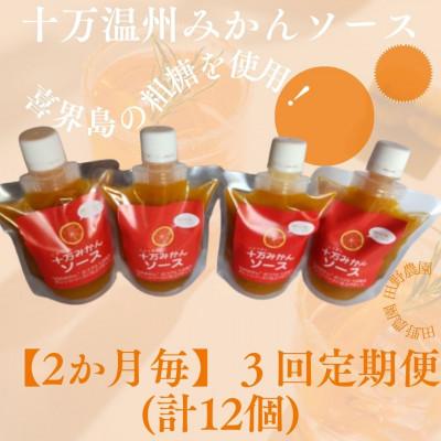 ふるさと納税 さつま町 【2ヵ月毎定期便】十万温州みかんソース4本 (計12本・1本200g)全3回