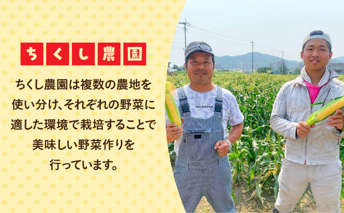朝採れ スイートコーン 5kg（10-12本入り）とうもろこし ＜ちくし農園＞那珂川市 [GDU001]