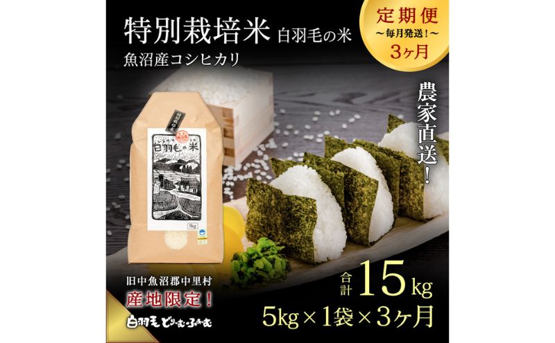 【通年受付】≪令和6年産　≫【定期便／全3回】農家直送！魚沼産コシヒカリ特別栽培「白羽毛の米」精米(5kg×1袋)×3回 15kg