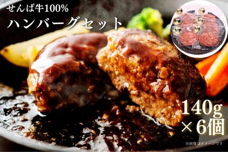 せんば牛100%ハンバーグ 計840g ハンバーグ 千葉 銘牛 牛肉100% 個包装 冷凍 おかず 牛肉 セット 国産 千葉県 東庄町