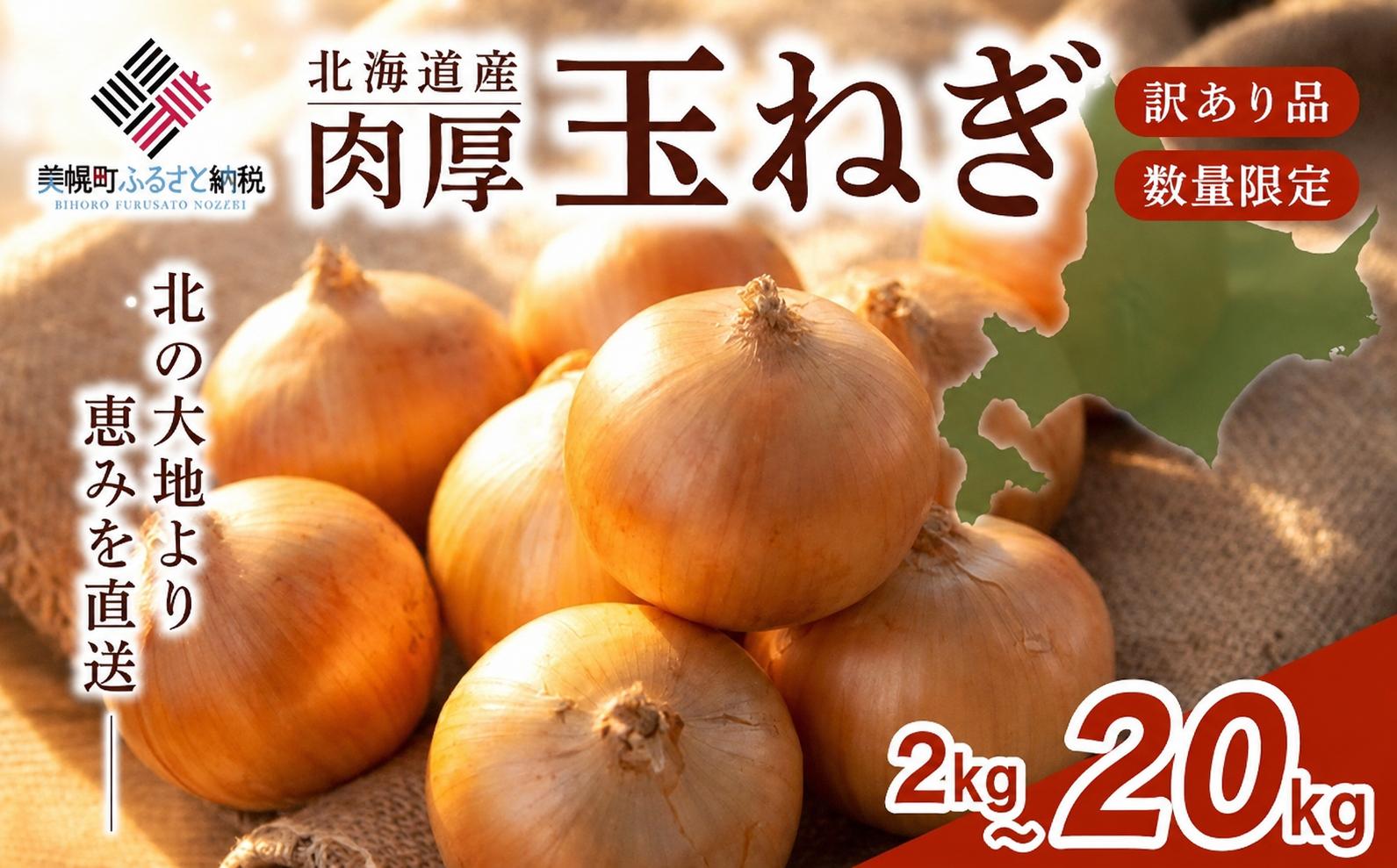 
                  【2026年10月上旬以降発送】 美幌産 たまねぎ Lサイズ 2kg 5kg 10kg 20kg 令和8年度産 / タマネギ 玉ねぎ 玉ネギ 玉葱 オニオン スライス サラダ 野菜 スープ 肉じゃが 煮物 ハンバーグ すりおろし 甘い カレー BBQ バーベキュー 新鮮 旬 国産 訳あり 北海道 美幌町 先行予約 送料無料 数量限定
                