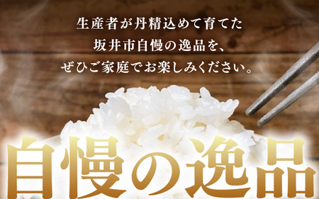 【先行予約】【令和8年産・新米】 定期便 ≪12ヶ月連続お届け≫ 坂井市産 コシヒカリ 白米 5kg×12回 計60kg (アグリ川崎) 【2026年10月以降順次発送予定】 【米 こめ お米 精米 