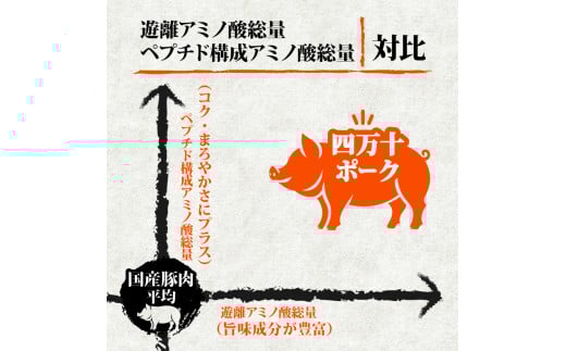 【定期便3回】四万十ポークスライス 計3.6kg（1.2kg×3ヶ月連続お届け) 2Eコース | 豚肉 豚バラ肉 小分け 小間切れ スライス 切り落とし 冷凍 真空パック 簡単調理 細切れ 大容量 肉
