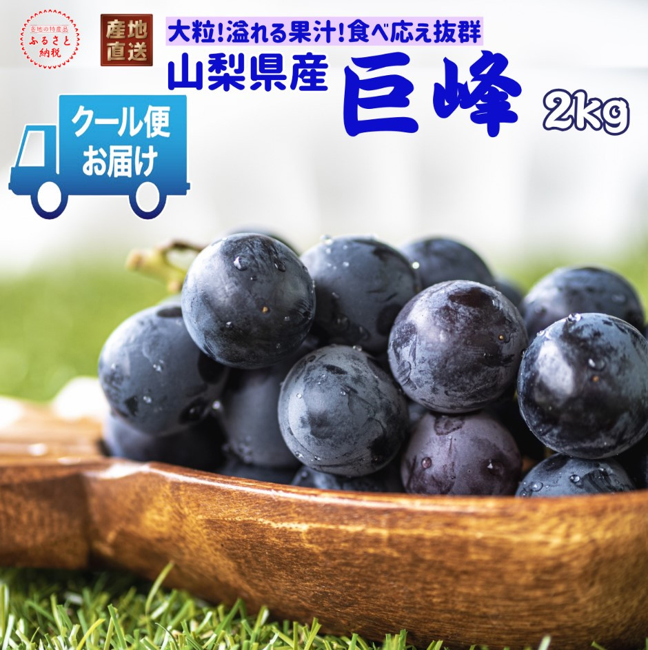 
            ＜2025年発送＞【2026年発送★先行予約】クール便発送　巨峰 2kg (3～4房) 179-010-oya
          