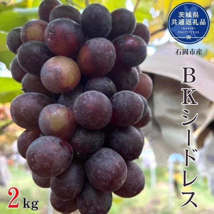 【ふるさと納税】開田ぶどう園　BKシードレス　2kg（茨城県共通返礼品・石岡市産） ／ ぶどう 葡萄 ブドウ 果物 フルーツ BKシードレス 2kg