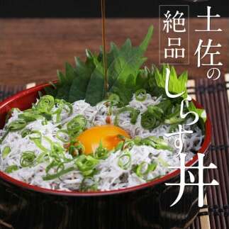 t188mmk　〈3ヶ月定期便〉訳あり 釜揚げシラス 100g×6個 定期便 定期コース 3ヶ月 しらす シラス 釜揚げ 新鮮 塩分控えめ 離乳食 わけあり ワケあり 不揃い しらす丼 海鮮丼 お茶漬