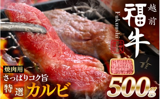 希少 越前福牛 さっぱりコク旨 特選カルビ 焼肉用 500g 焼肉 焼き肉 国産牛ブランド牛 赤身和牛 かるび 肉 牛 牛肉 冷凍 贈答 贈り物 ギフト [B-1806]