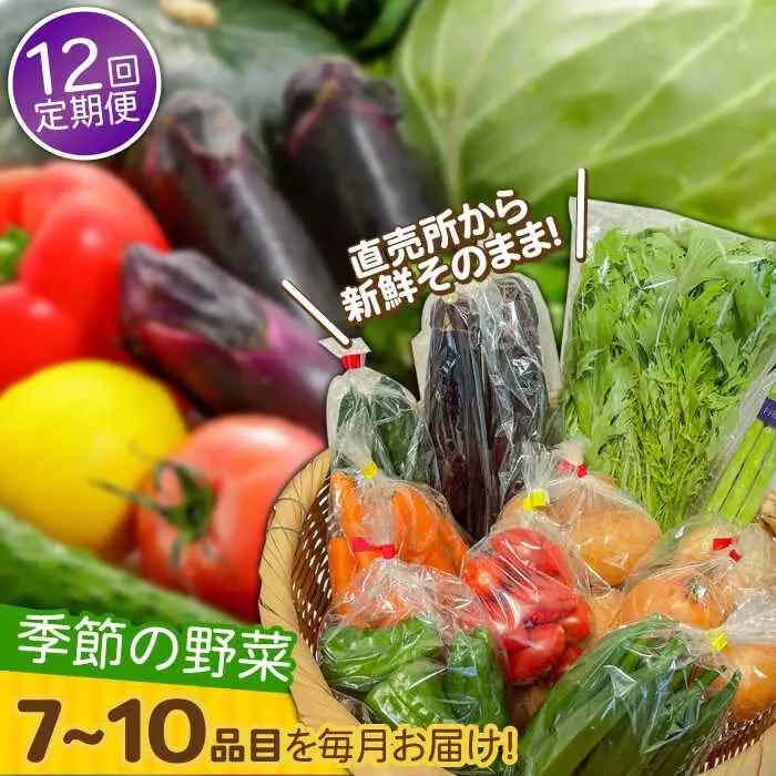 【12回定期便】野菜定期便 7?10品目 / ながさき南部 [SBW005] 