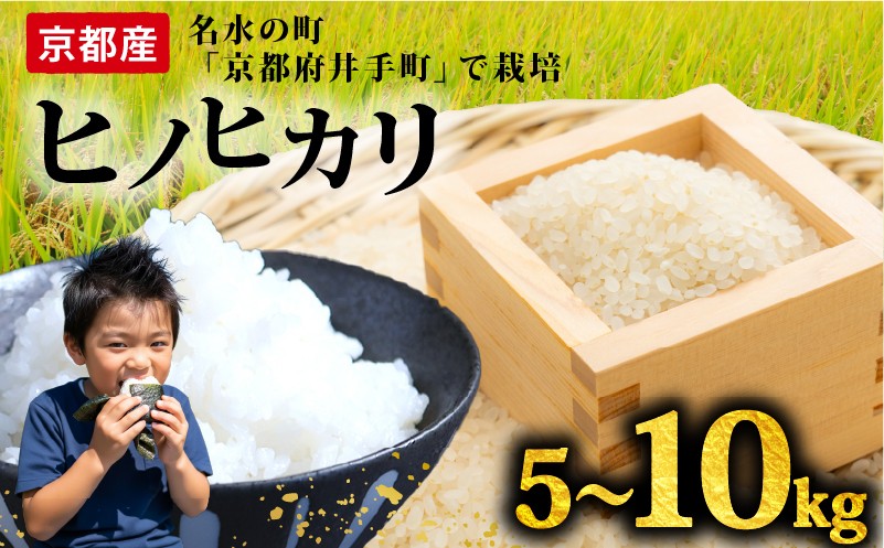 
            【先行予約】 2025年度産 新米 ヒノヒカリ 発送12月以降 選べる 5kg 10kg 定期便 6ヶ月 12ヶ月 令和7年 新年度産 先行予約 新米 精米 白米 お米 米 こめ コメ ご飯 5キロ 10キロ  京都 京都府 井手 井手町
          