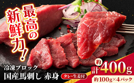 【フジチク】 国産 馬刺し 赤身 約100g×4個（計約400g）タレ付き 馬 馬肉 肉 熊本県 【亀井通産 株式会社】[AYBQ044]