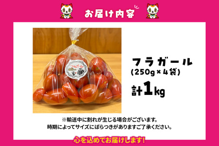 フルーツトマト　フラガール1kg　よこた農園　（へたなし　ミニトマト　プチトマト　ぷちとまと　高糖度）