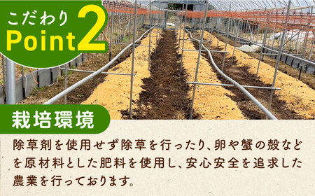 訳あり！朝採れアスパラガス１kg 《対馬市》【農家くんのアスパラファーム】  冷蔵 アスパラ とれたて 新鮮 野菜　産地直送 1万円 10000円[WCT001]