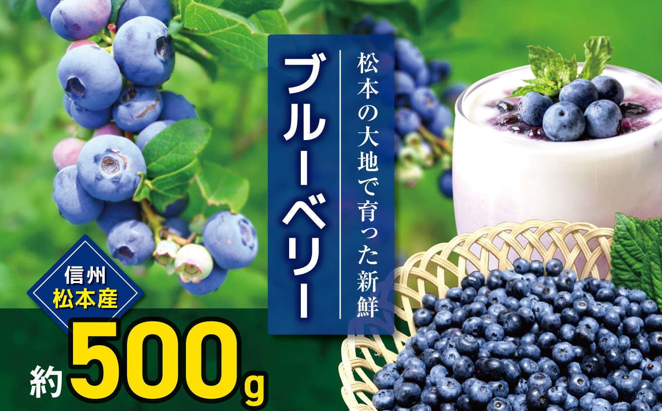 
                  信州松本産　ブルーベリー　約５００ｇ │ブルーベリー ベリー 果物 フルーツ 新鮮 自然 甘い 美味しい 長野県 信州 松本 ふるさと納税 2026年7月発送
                