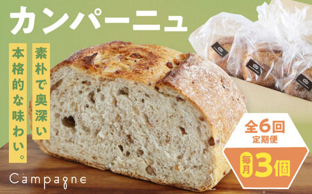 【全6回定期便】【冷凍】カンパーニュ3種セット (プレーン・いちじく・五穀) 愛媛県大洲市/株式会社アライ 冷凍パン ハードパン 食事パン 朝食 ベーカリー 冷凍[AGAY052]